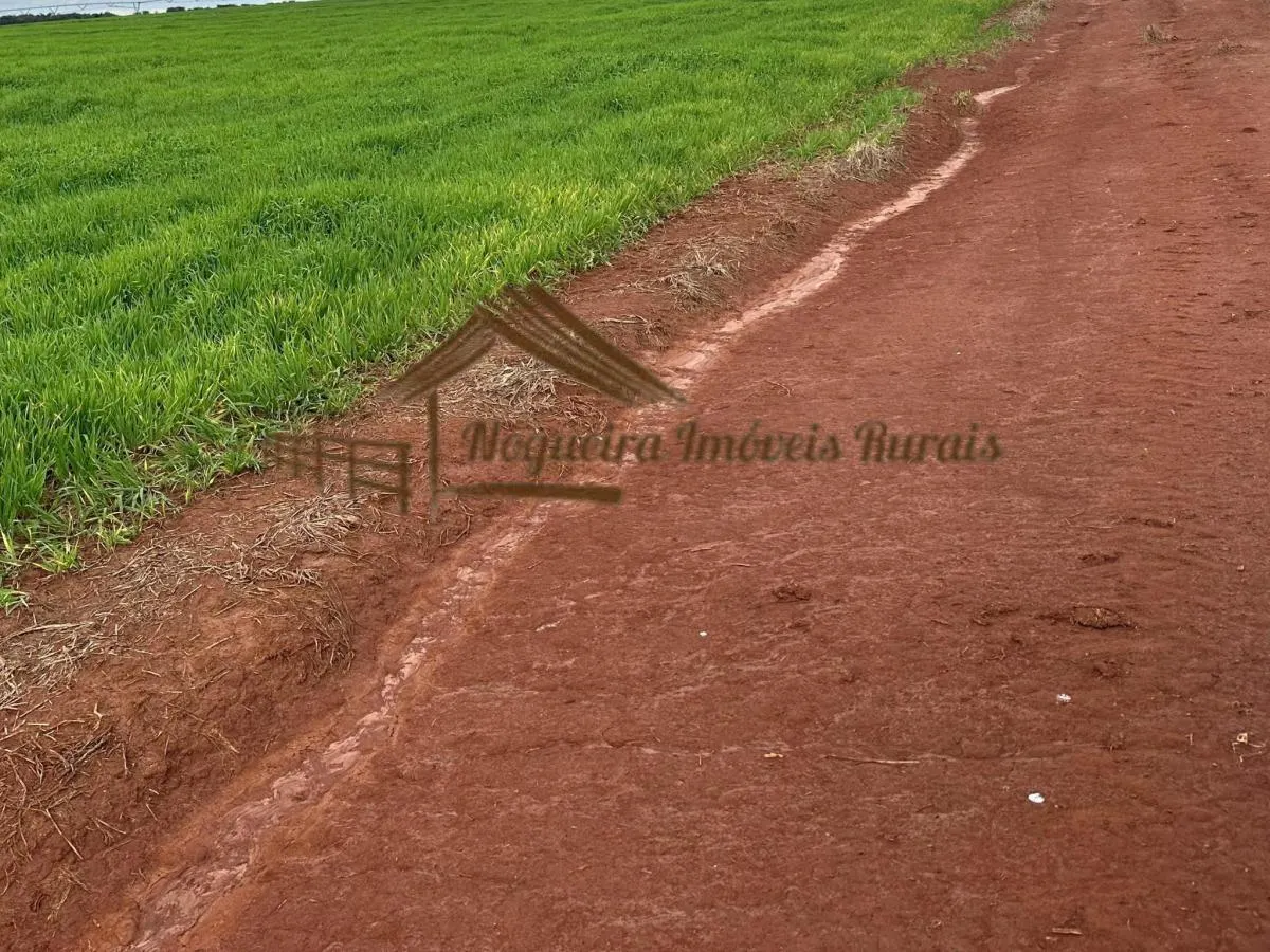 Fazenda à venda de 116 ha em Avaré, SP, Brasil