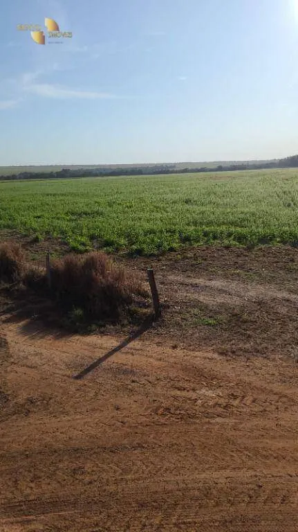 Farm for sale of 6,753 acres in Canarana, MT, Brazil