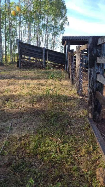 Farm for sale of 6,753 acres in Canarana, MT, Brazil