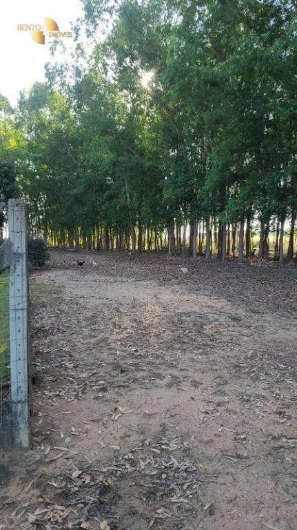 Farm for sale of 6,753 acres in Canarana, MT, Brazil