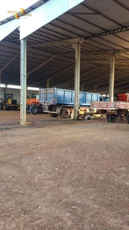 Farm for sale of 6,753 acres in Canarana, MT, Brazil