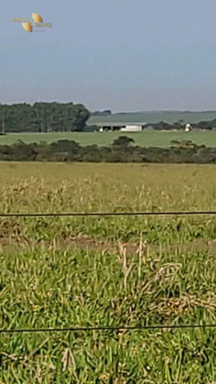 Farm for sale of 6,753 acres in Canarana, MT, Brazil