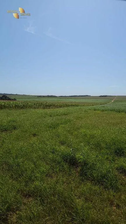 Farm for sale of 6,753 acres in Canarana, MT, Brazil