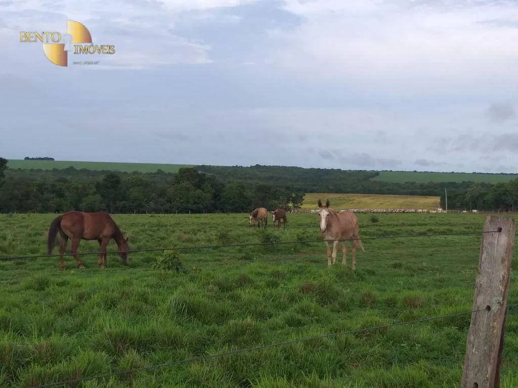 Farm for sale of 6,753 acres in Canarana, MT, Brazil