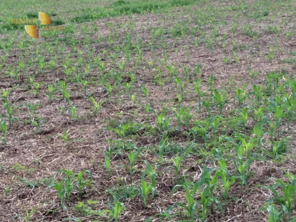 Farm for sale of 6,753 acres in Canarana, MT, Brazil