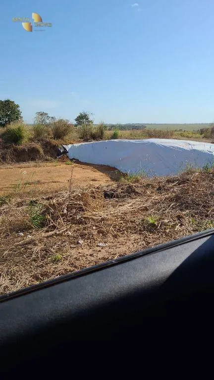 Farm for sale of 6,753 acres in Canarana, MT, Brazil