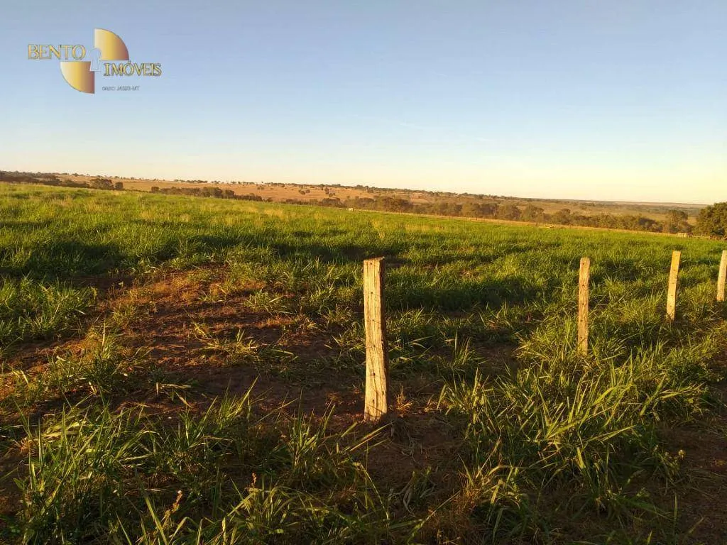 Farm for sale of 6,753 acres in Canarana, MT, Brazil
