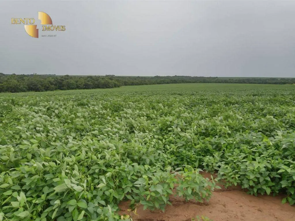 Farm for sale of 6,753 acres in Canarana, MT, Brazil