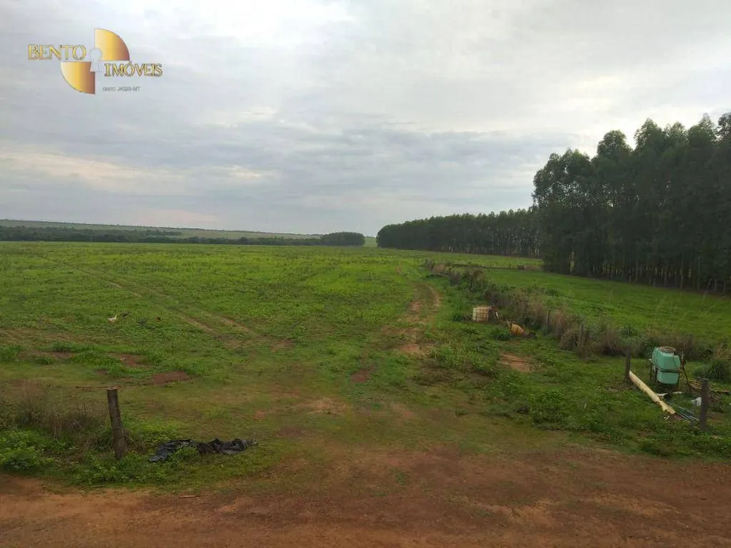 Farm for sale of 6,753 acres in Canarana, MT, Brazil