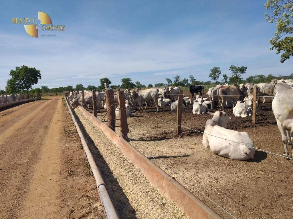 Farm for sale of 6,753 acres in Canarana, MT, Brazil