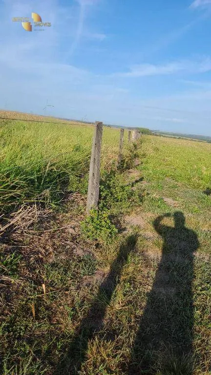 Farm for sale of 6,753 acres in Canarana, MT, Brazil