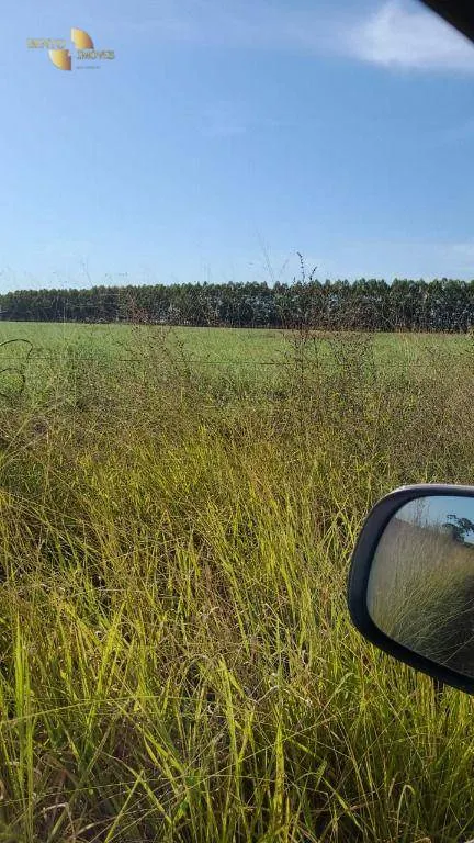 Farm for sale of 6,753 acres in Canarana, MT, Brazil