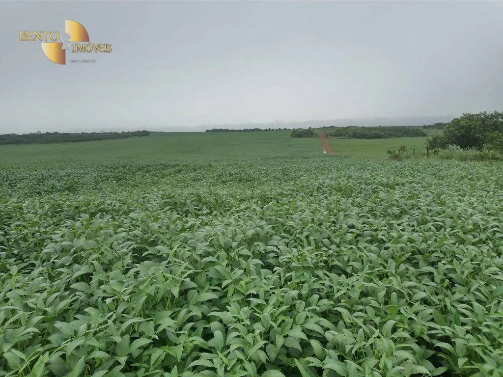 Farm for sale of 6,753 acres in Canarana, MT, Brazil