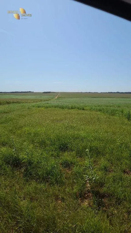 Farm for sale of 6,753 acres in Canarana, MT, Brazil