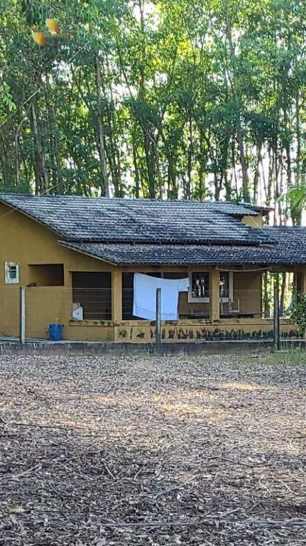 Farm for sale of 6,753 acres in Canarana, MT, Brazil