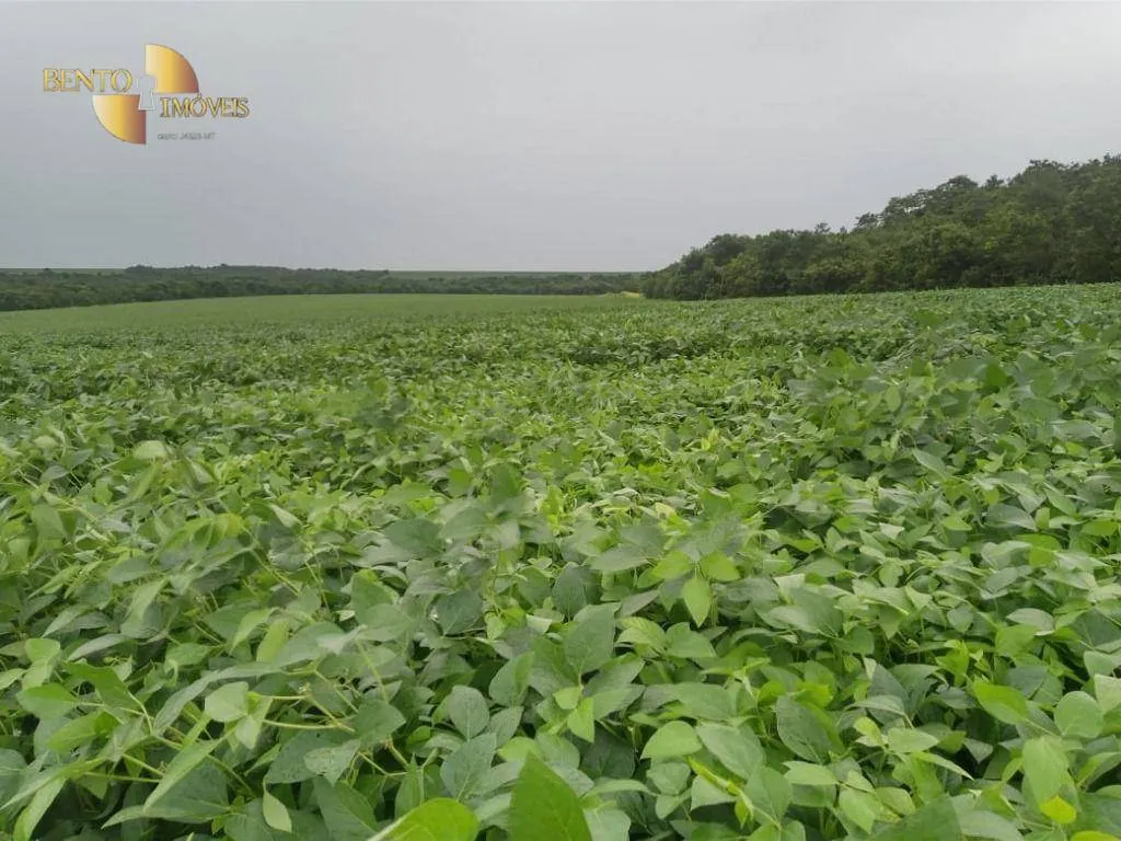 Farm for sale of 6,753 acres in Canarana, MT, Brazil