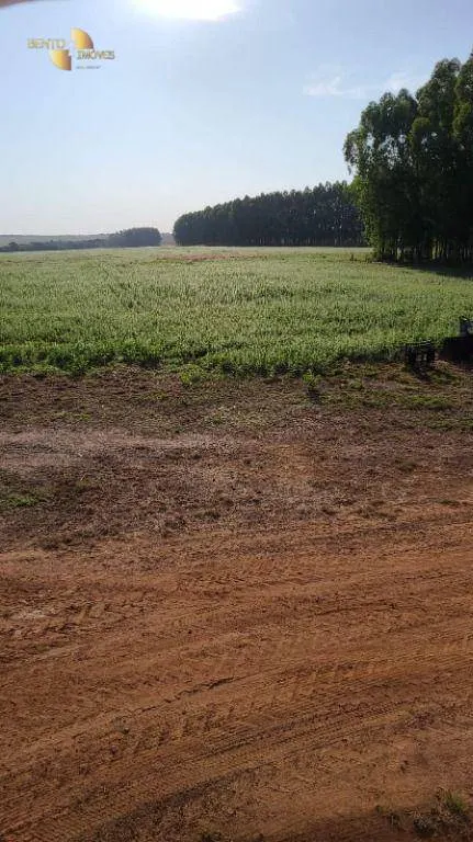 Fazenda à venda de 2.733 ha em Canarana, MT, Brasil
