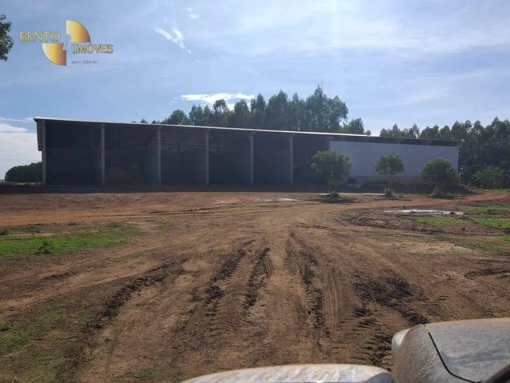 Farm for sale of 6,753 acres in Canarana, MT, Brazil
