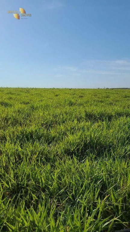 Farm for sale of 6,753 acres in Canarana, MT, Brazil