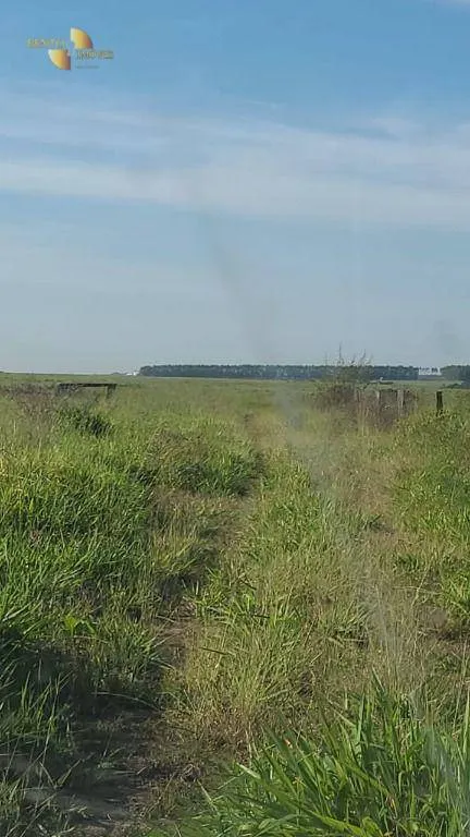 Farm for sale of 6,753 acres in Canarana, MT, Brazil