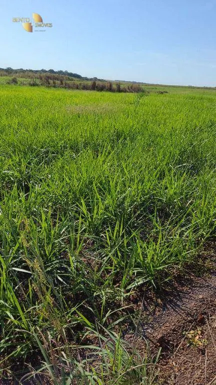 Farm for sale of 6,753 acres in Canarana, MT, Brazil