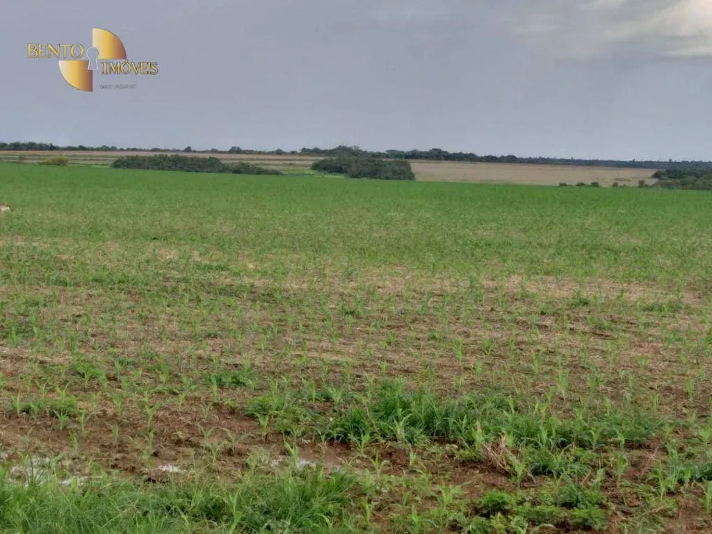 Farm for sale of 6,753 acres in Canarana, MT, Brazil