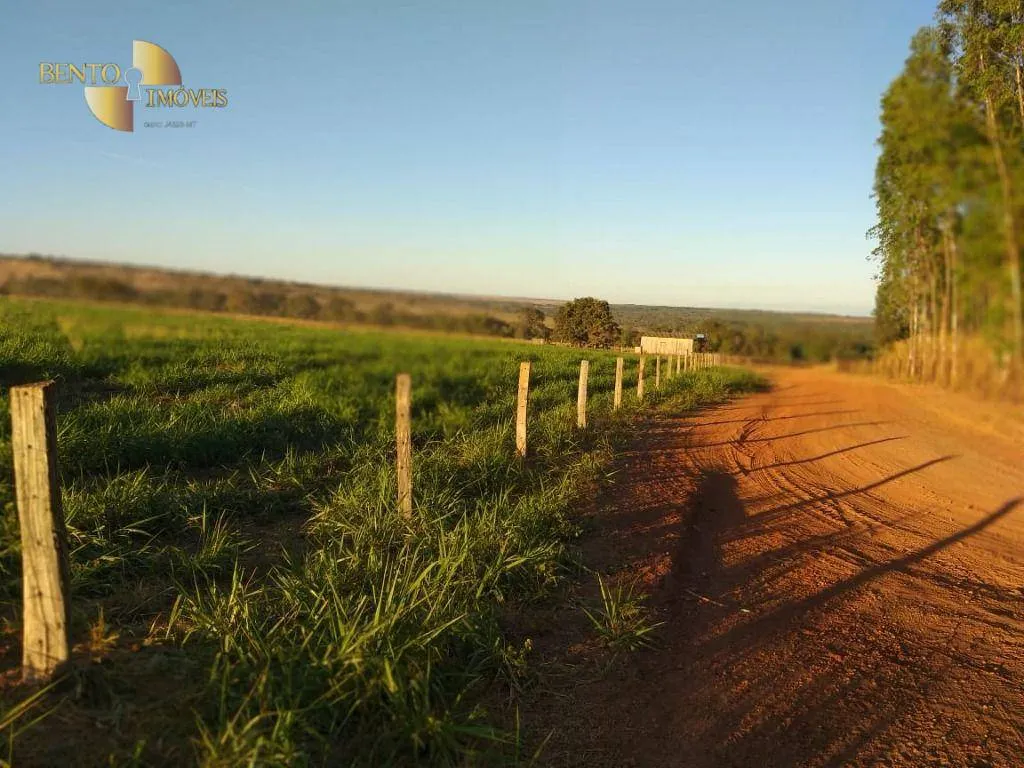 Farm for sale of 6,753 acres in Canarana, MT, Brazil