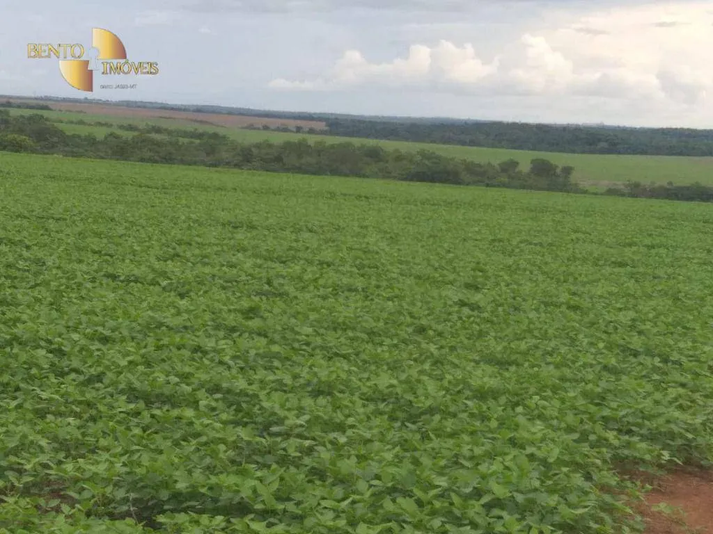 Farm for sale of 6,753 acres in Canarana, MT, Brazil
