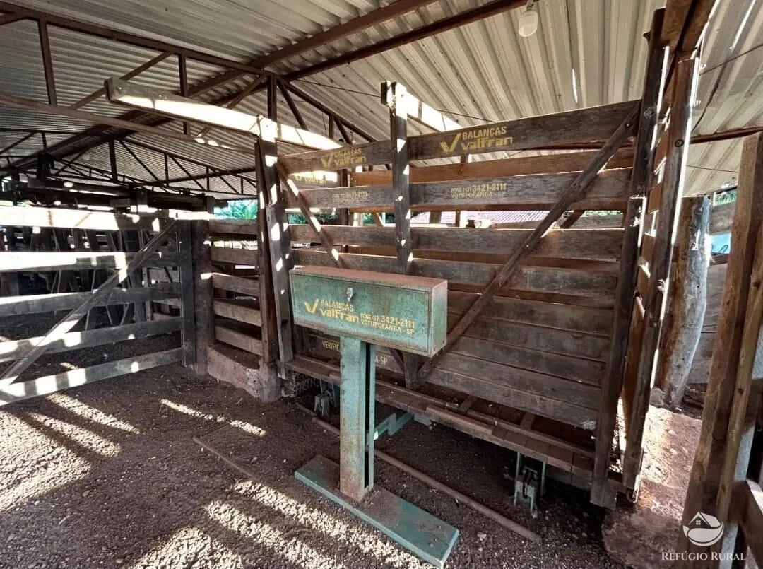 Fazenda à venda de 883 ha em Sandolândia, TO, Brasil