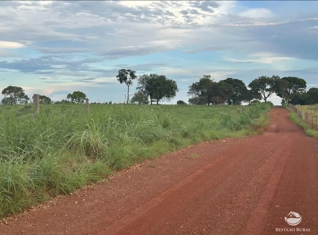 Fazenda à venda de 883 ha em Sandolândia, TO, Brasil