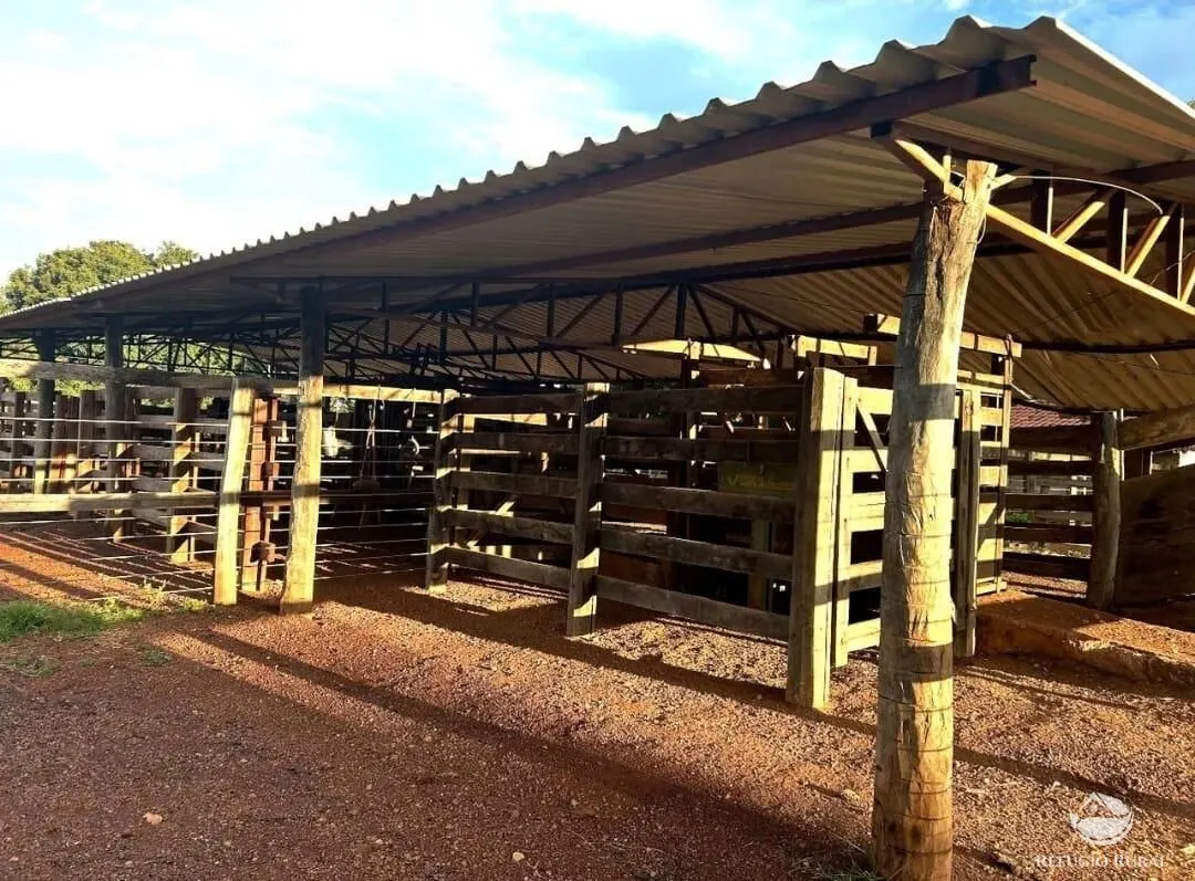 Fazenda à venda de 883 ha em Sandolândia, TO, Brasil