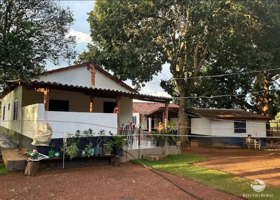 Fazenda à venda de 883 ha em Sandolândia, TO, Brasil