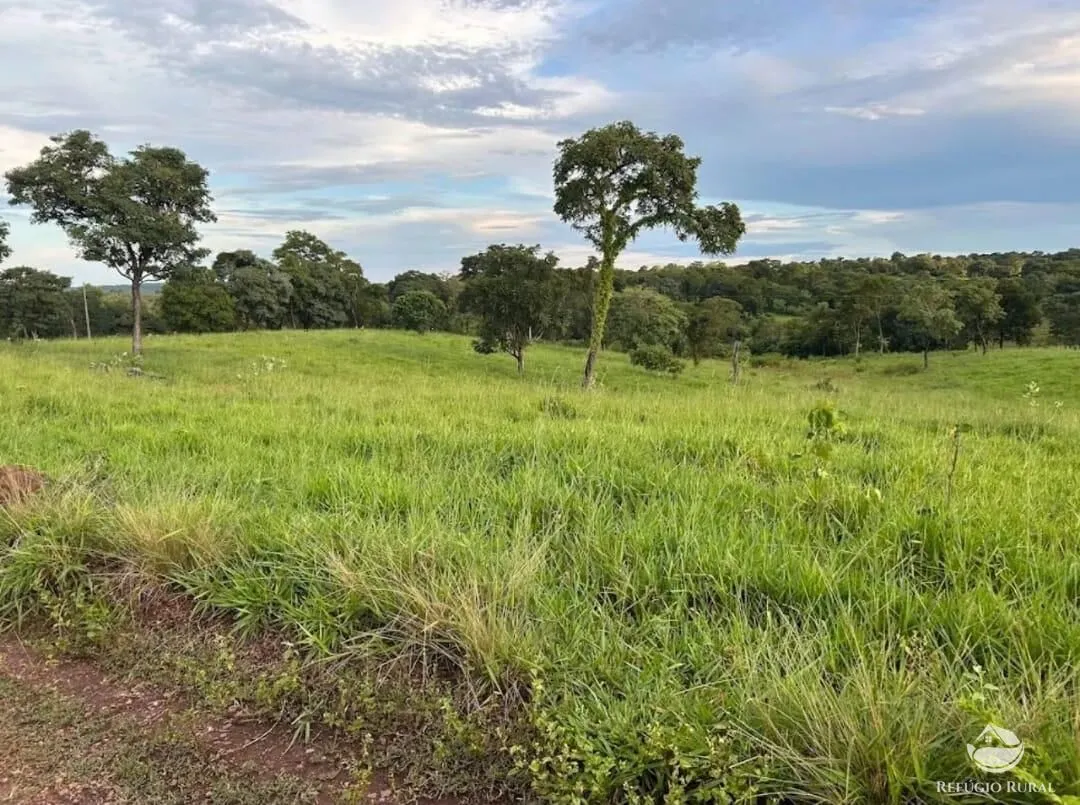 Fazenda à venda de 883 ha em Sandolândia, TO, Brasil
