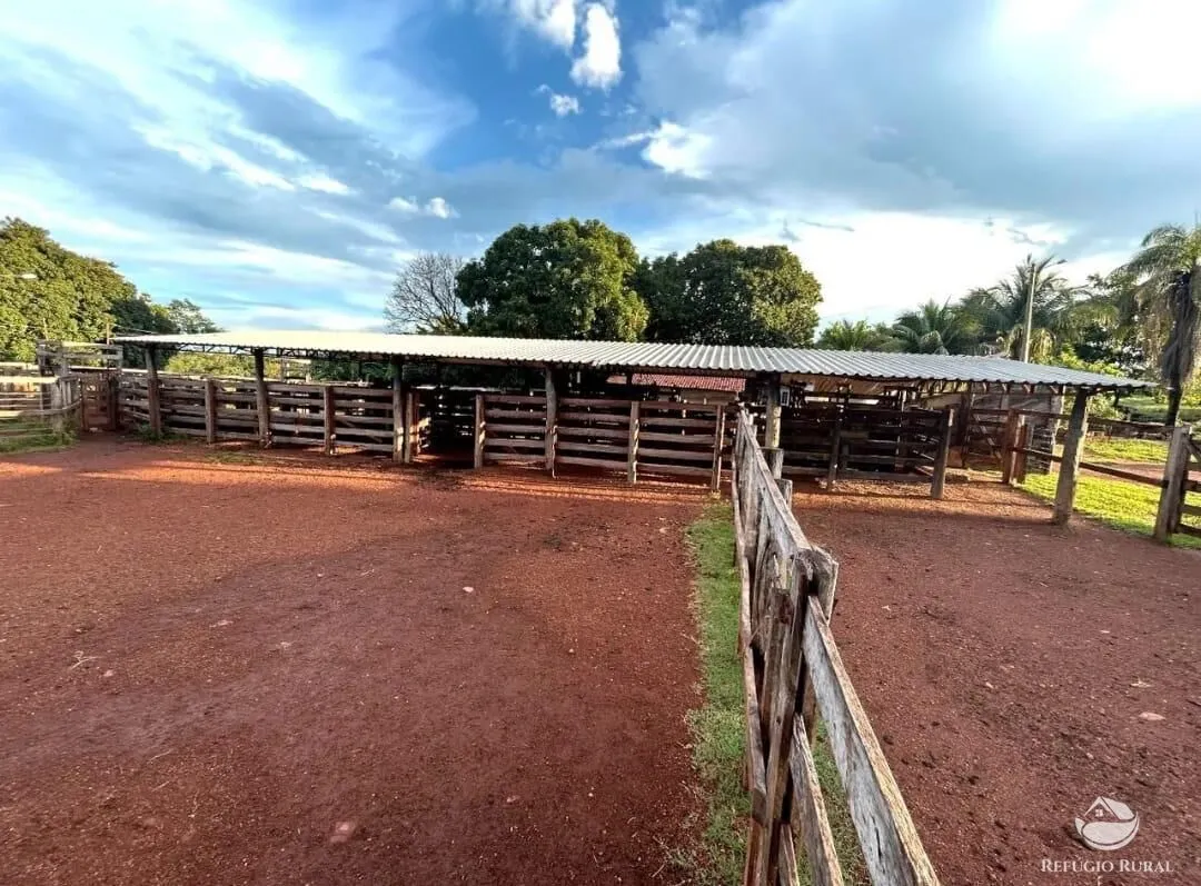 Fazenda à venda de 883 ha em Sandolândia, TO, Brasil