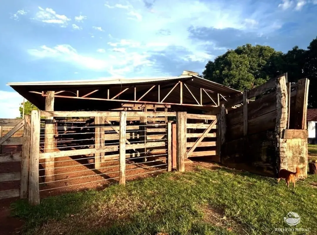 Fazenda à venda de 883 ha em Sandolândia, TO, Brasil