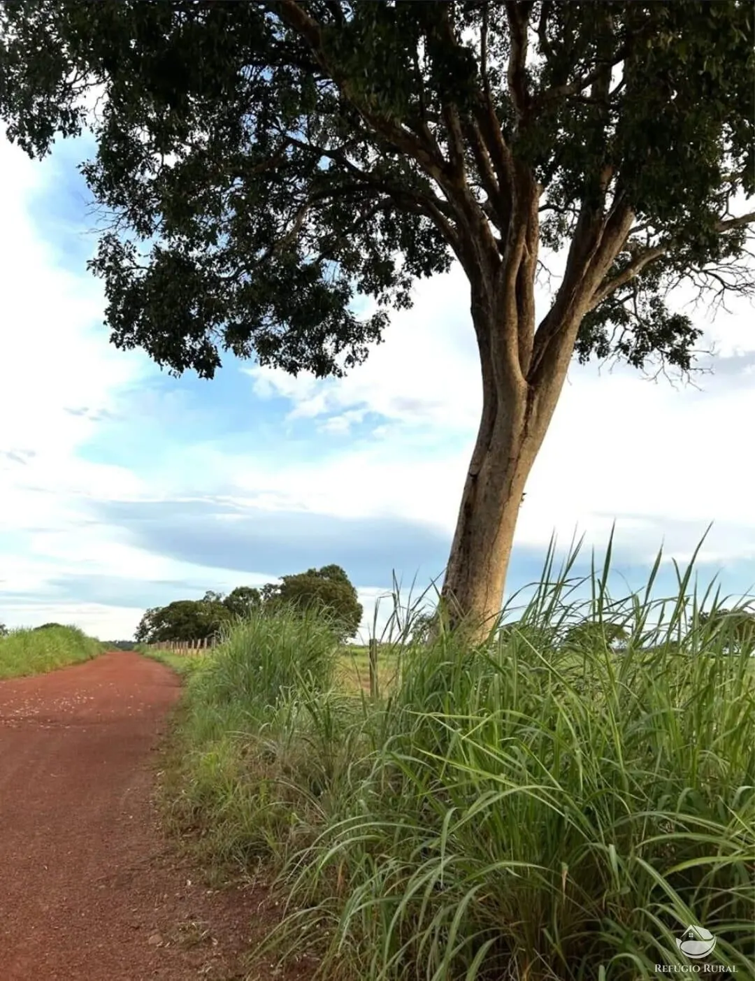 Fazenda à venda de 883 ha em Sandolândia, TO, Brasil