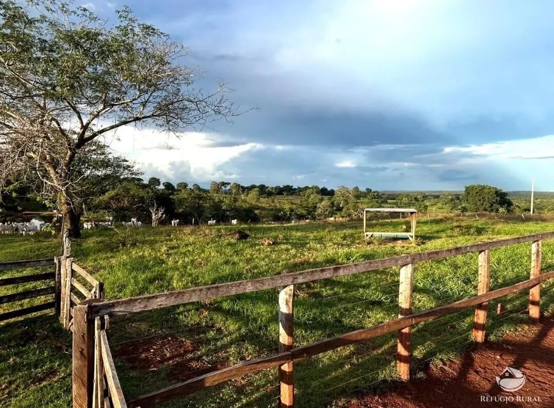 Fazenda à venda de 883 ha em Sandolândia, TO, Brasil