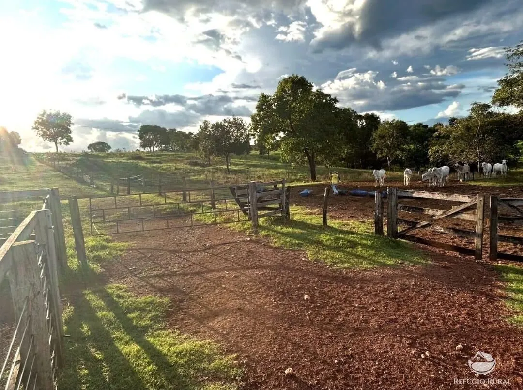 Farm for sale of 2,182 acres in Sandolândia, TO, Brazil