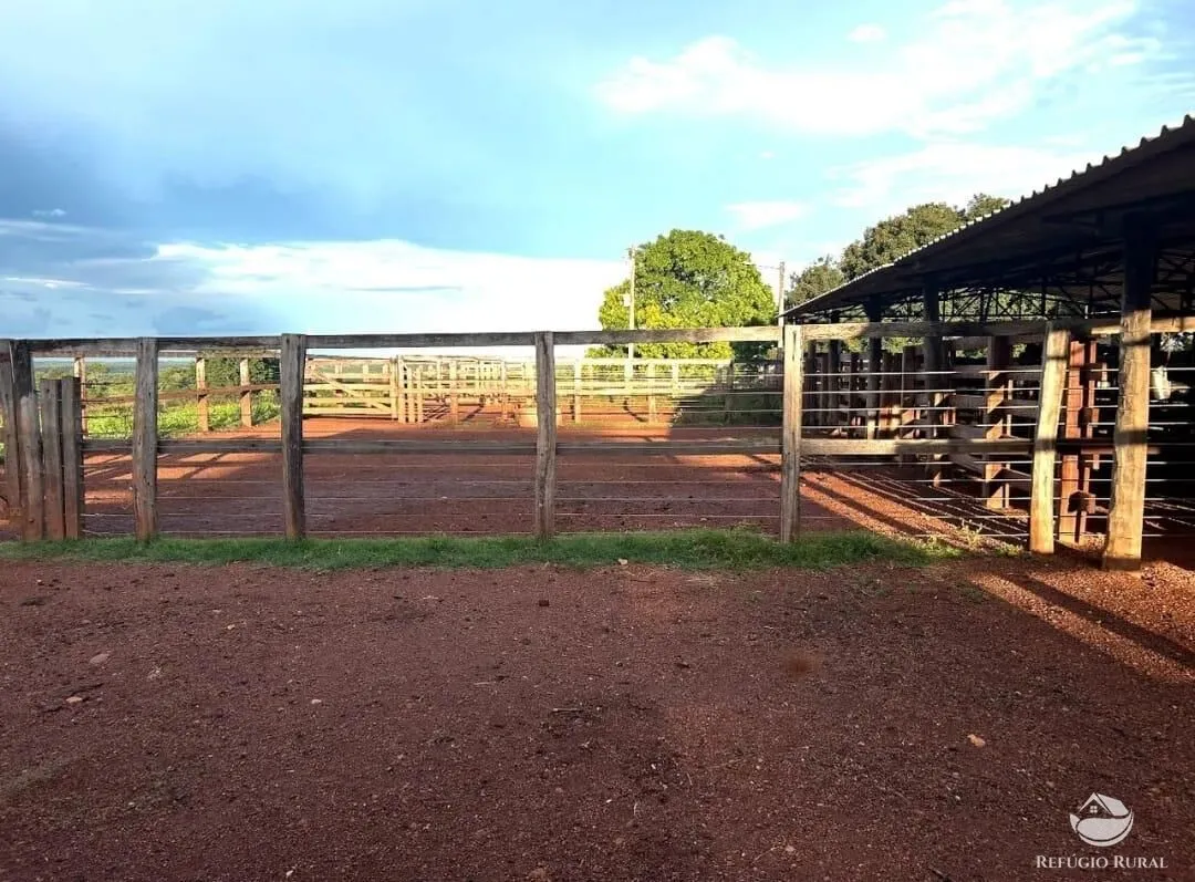 Fazenda à venda de 883 ha em Sandolândia, TO, Brasil