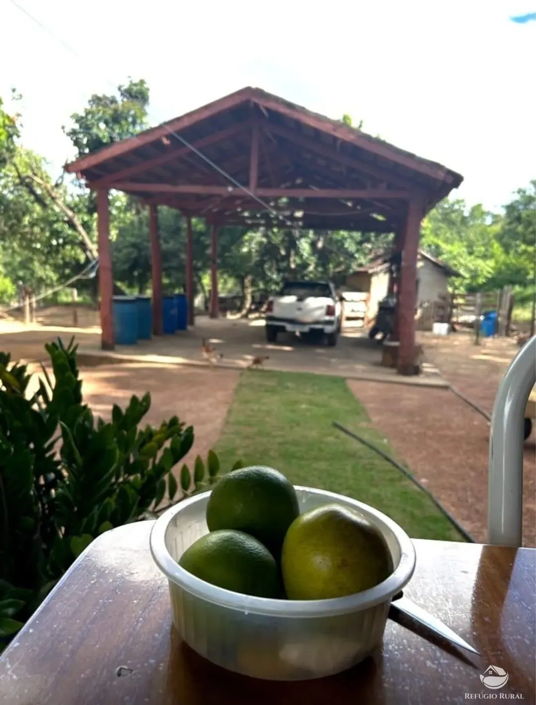 Fazenda à venda de 883 ha em Sandolândia, TO, Brasil