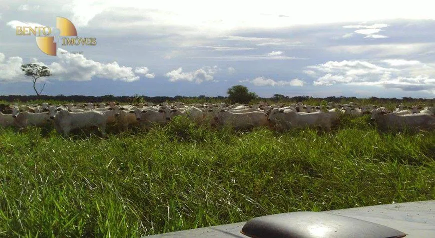 Fazenda à venda de 8.300 ha em Comodoro, MT, Brasil