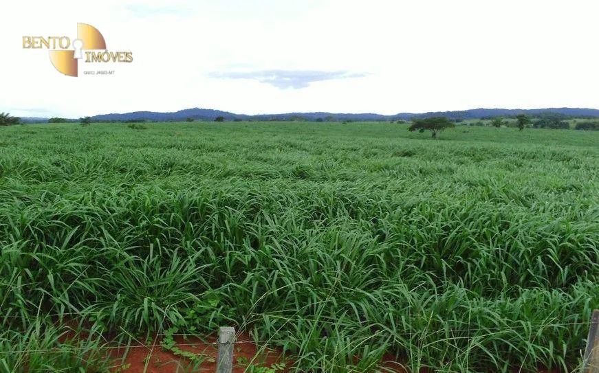 Fazenda à venda de 8.300 ha em Comodoro, MT, Brasil