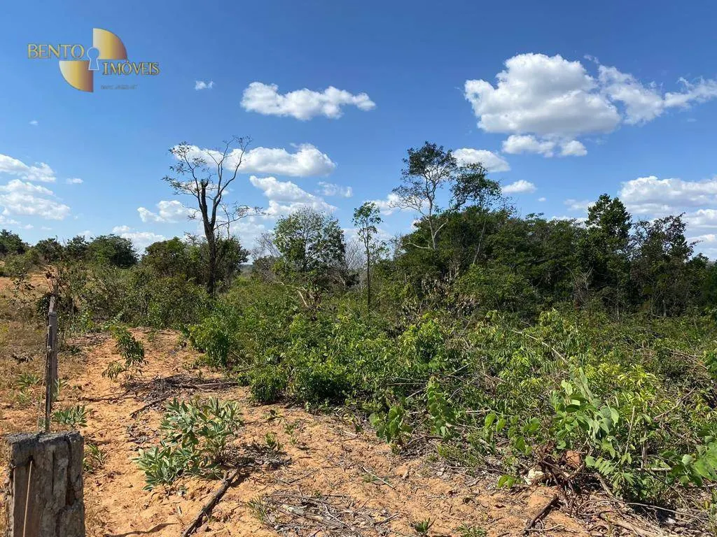 Fazenda à venda de 732 ha em Alto Araguaia, MT, Brasil