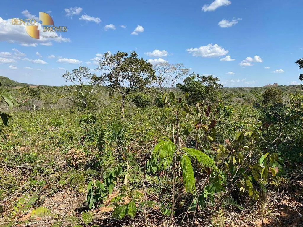 Farm for sale of 1,809 acres in Alto Araguaia, MT, Brazil