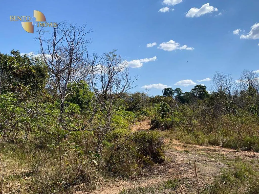 Farm for sale of 1,809 acres in Alto Araguaia, MT, Brazil