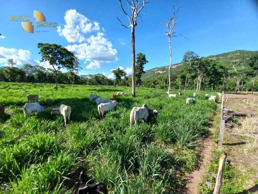 Small farm for sale of 35 acres in Cáceres, MT, Brazil