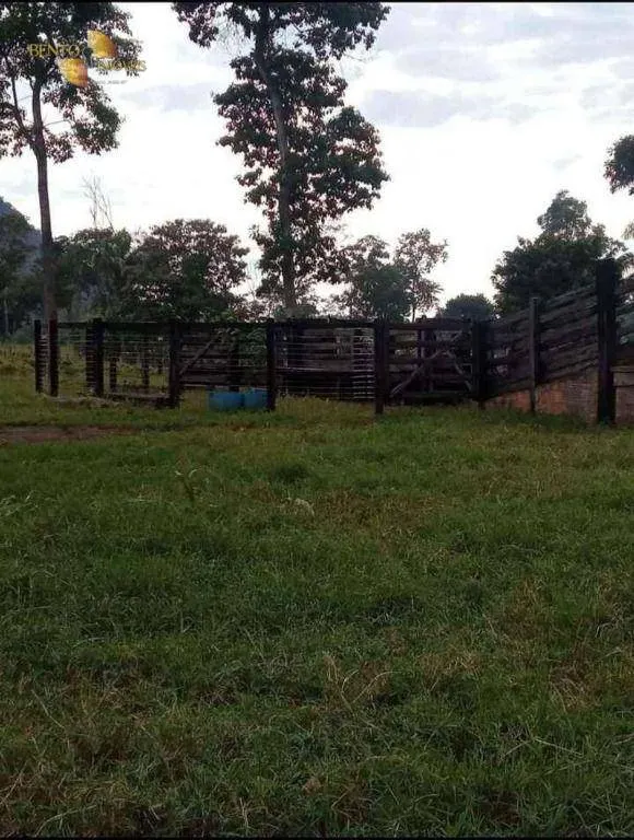Sítio à venda de 14 ha em Cáceres, MT, Brasil