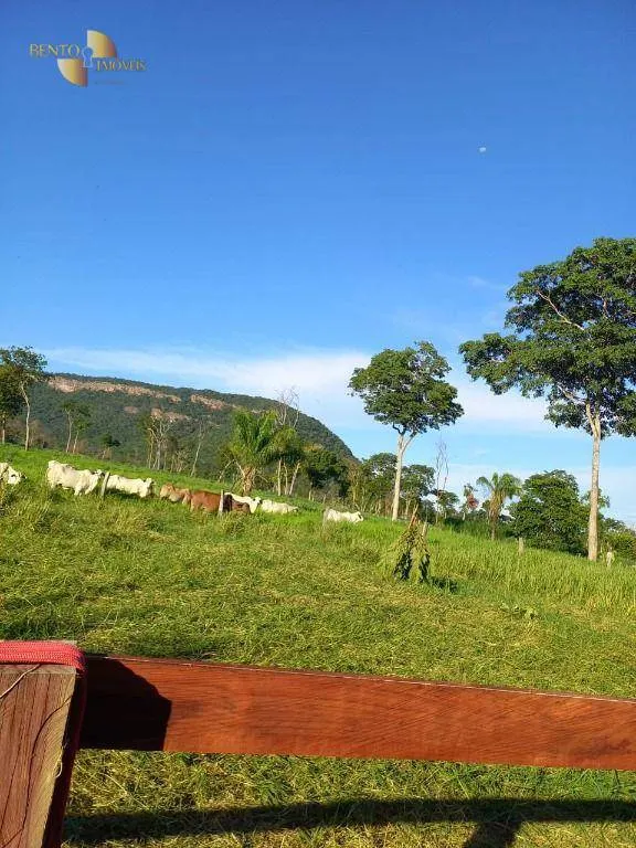 Small farm for sale of 35 acres in Cáceres, MT, Brazil