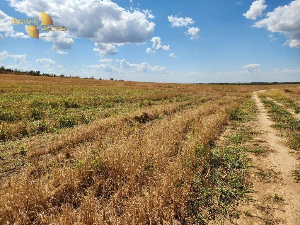 Fazenda à venda de 2.246 ha em Paranatinga, MT, Brasil
