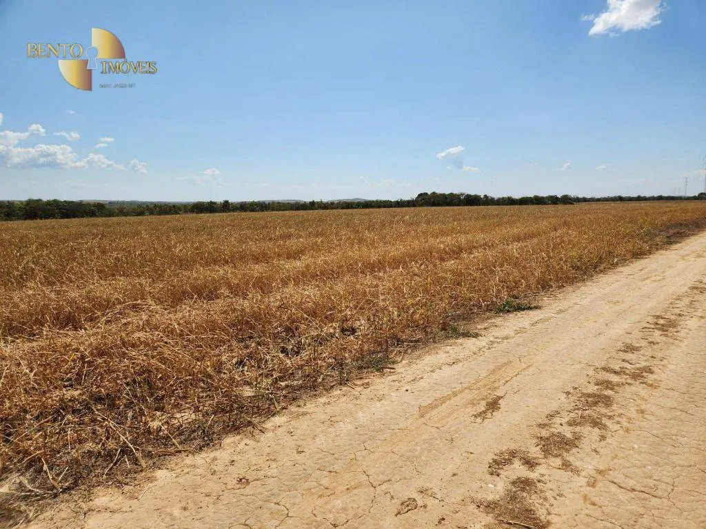 Fazenda à venda de 2.246 ha em Paranatinga, MT, Brasil